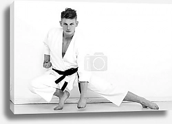 Постер Бой между двумя бойцами айкидо