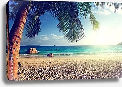 Постер Пляж Анс Лацио, Сейшельские острова