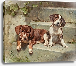 Постер Райхерт Карл Нарушенная сиеста