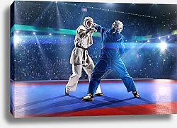 Постер Борцы кудо на ринге