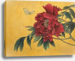 Постер luxurious and delicate peony and fragile butterfly