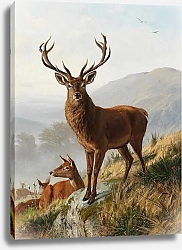 Постер Дейкер Карл Столичный олень