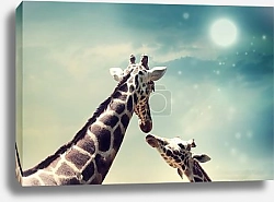 Постер Жирафы на фоне ночного неба