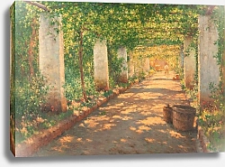 Постер Брукман  Генри Pergola À Cocumella, Sorrente