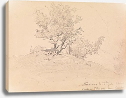 Постер Гуде Ханс Могила Торстейна Викингсона, Вангснес