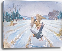 Постер Кулханек Джеймс Добыча пустельги