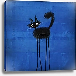 Постер Черный пушистый кот с длинными тонкими ногами