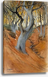 Постер Эдельфельт Альберт Буковый лес