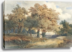 Постер Калам Александр Trees, Tracks And Figures