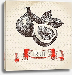 Постер Иллюстрация с инжиром