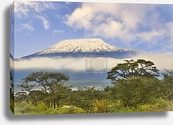 Постер Зимняя симфония на Килиманджаро, Танзания, у подножия горы