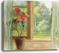 Постер Уолтер Лилли Цветок на окне