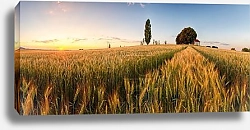 Постер Словакия. Закат над пшеничным полем с часовней