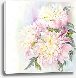 Постер Три бело-розовых пиона