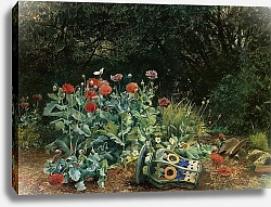 Постер Бат Давид Летние цветы в тихом уголке сада