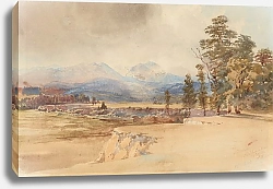 Постер Шевалье Николас Вайпуа