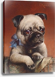 Постер Райхерт Карл Молодой мопс