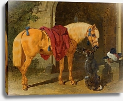 Постер Херринг Джон Конь кавалера