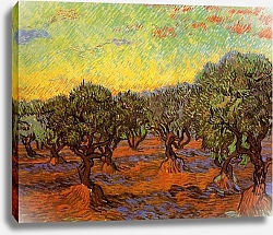 Постер Ван Гог Винсент (Vincent Van Gogh) Оливковая роща: оранжевое небо