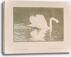 Постер Хауайзен Альберт Schwan