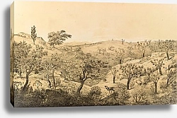 Постер Природа Южной Америки 31