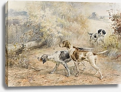Постер Остхаус Эдмунд Охотничьи собаки