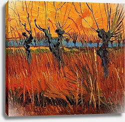 Постер Ван Гог Винсент (Vincent Van Gogh) Ивы на закате