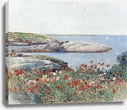 Постер Хассам Чильд Маки, Островки мелководья