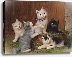 Постер Сперлих Софи Дети-кошки