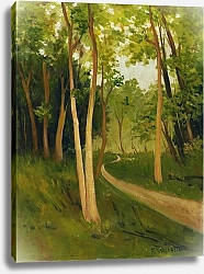 Постер Валлоттон Феликс Трасса в Булонском Лесу