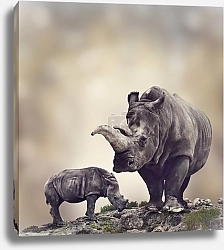 Постер Носороги 2