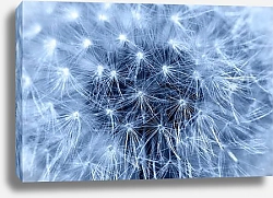 Постер Нежные мечты