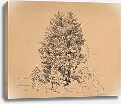 Постер Тома Ханс Trees in Bernau