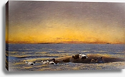 Постер Лильефорс Бруно Morning Mood by the Sea