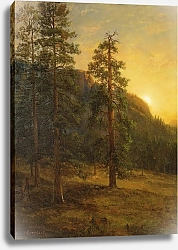 Постер Бирштад Альберт Калифорнийские секвойи