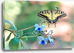 Постер Жёлтая бабочка и голубые цветы