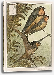 Постер Хойтема Тео Три глотка