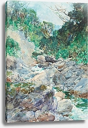 Постер Уолш Альфред Альпийский ручей, Отира