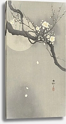 Постер Косон Охара Plum blossom and full moon
