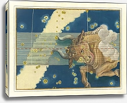 Постер Байер Иоганн Taurus