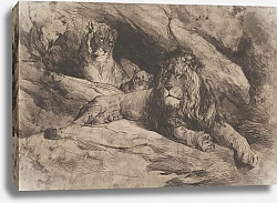 Постер Хайнс Арманд Leeuwen met een welp