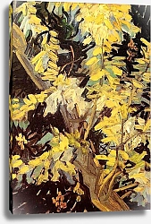 Постер Ван Гог Винсент (Vincent Van Gogh) Ветви цветущей акации