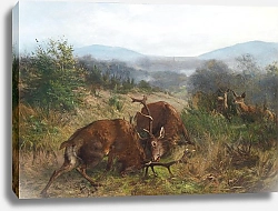 Постер Дейкер Карл соперник