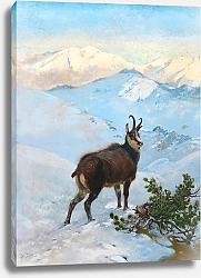 Постер Сингер Альберт Серна в горах