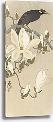 Постер Косон Охара Myna on Magnolia Branch