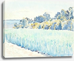 Постер Хансен Питер Финский ландскаб Корнмарк вед-ан-сков