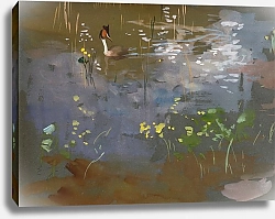 Постер Ярнефельт Ээро Большая хохлатая поганка