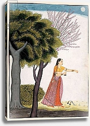 Постер Школа: Индийская 18в Vipralabdha nayika, c.1770