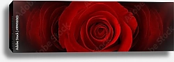 Постер Панорама с тёмно-красными розами