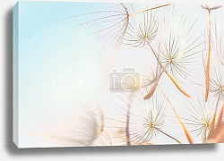 Постер Одуванчик на фоне неба